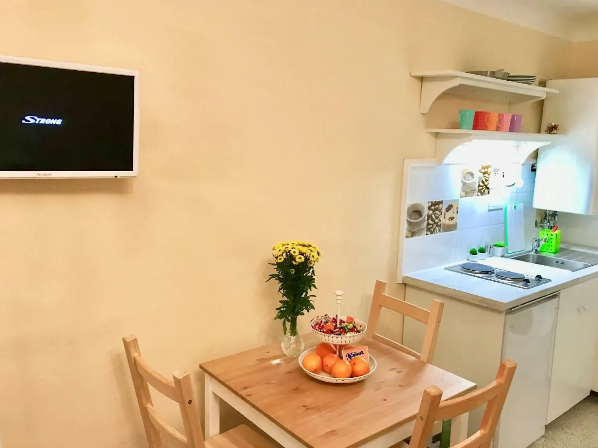 Charming Center City Apartment Vienna Austria