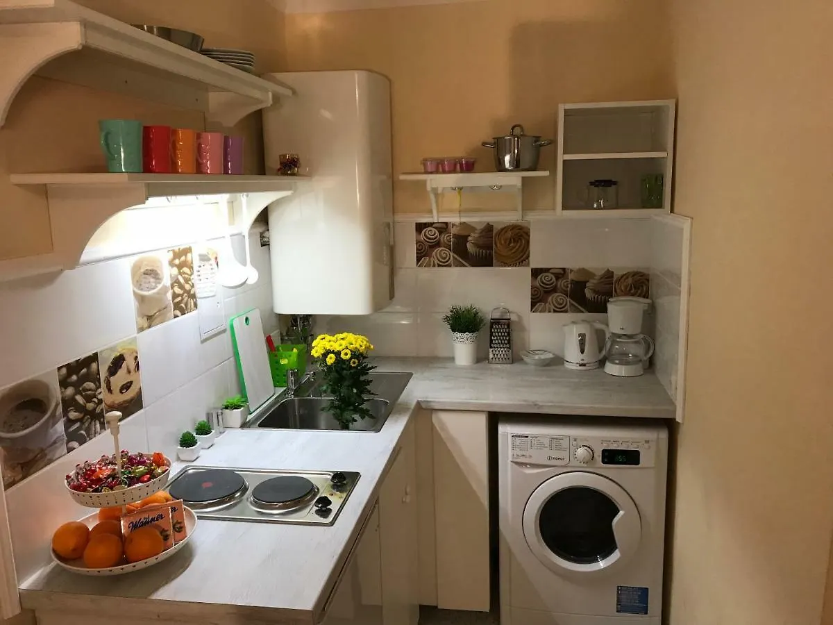 Charming Center City Apartment Vienna