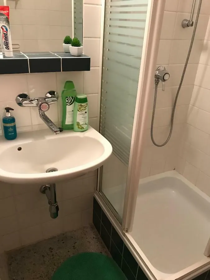 Charming Center City Apartment Vienna