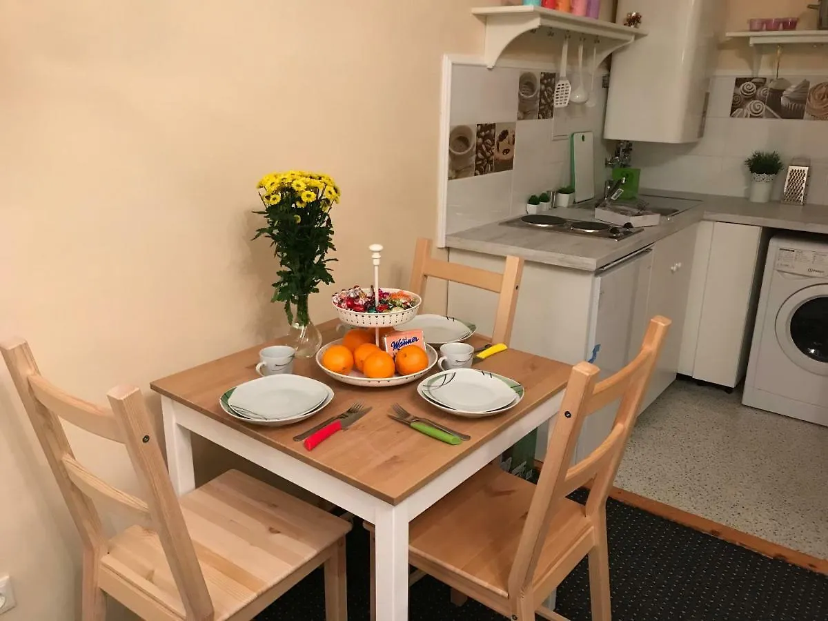 Charming Center City Apartment Vienna